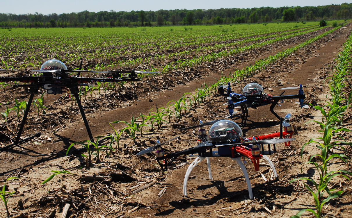 1634131057920193.jpg 598b5dd076084a25008b758b.jpg